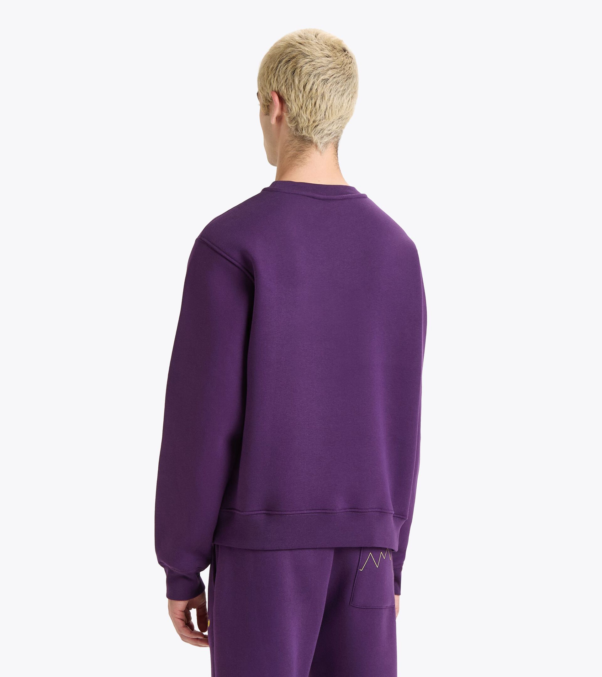 Felpa sportiva - Gender Neutral SWEATSHIRT CREW ROUTE VIOLA GIOIELLO - Diadora